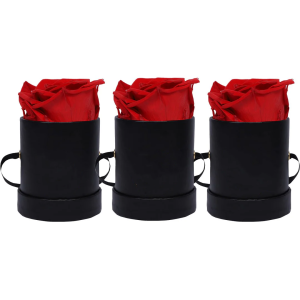 TRIO OF MINI RED ROSES