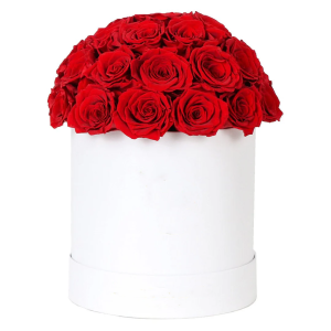 RED ROSES IN A WHITE HAT BOX