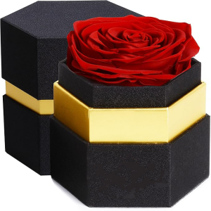 Hexagon Single Forever Red Rose Box